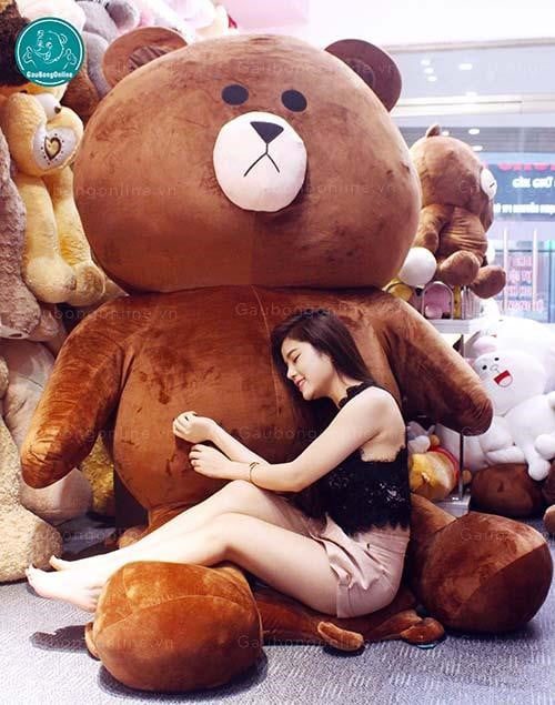 Gấu Brown khổng lồ tại gaubongonline.vn