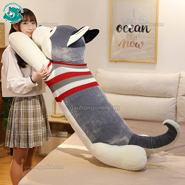 Chó Bông Husky Đại(Big Size)