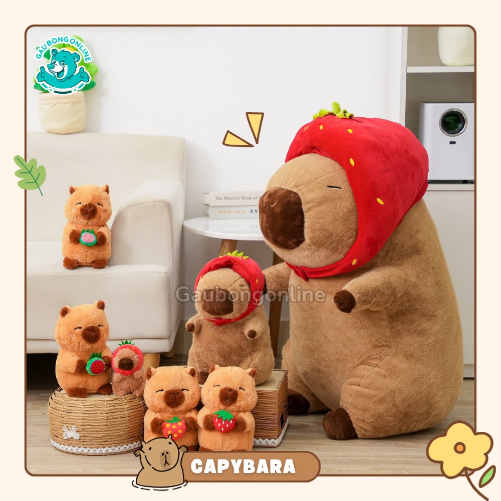 Capybara dễ thương cực mê tại Nhà Gấu