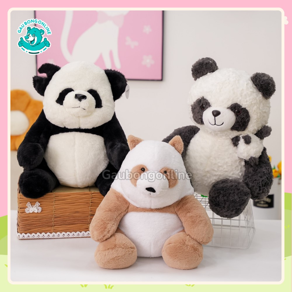 Gấu trúc bông lan tỏa sự đáng yêu