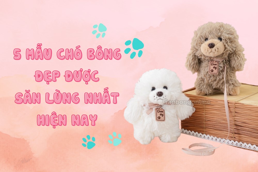 Những mẫu chó bông đẹp được săn lùng nhất hiện nay