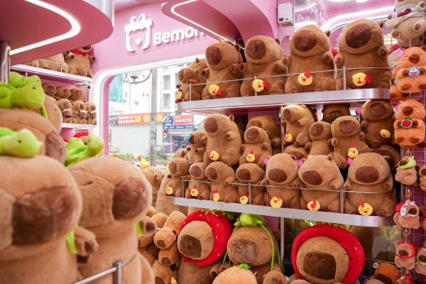 Check-in Ngay: Cửa Hàng Capybara Độc Lạ Tại Hà Nội