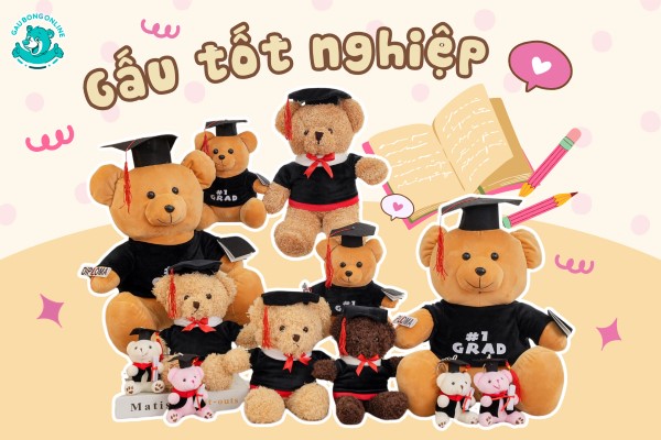 BST gấu tốt nghiệp