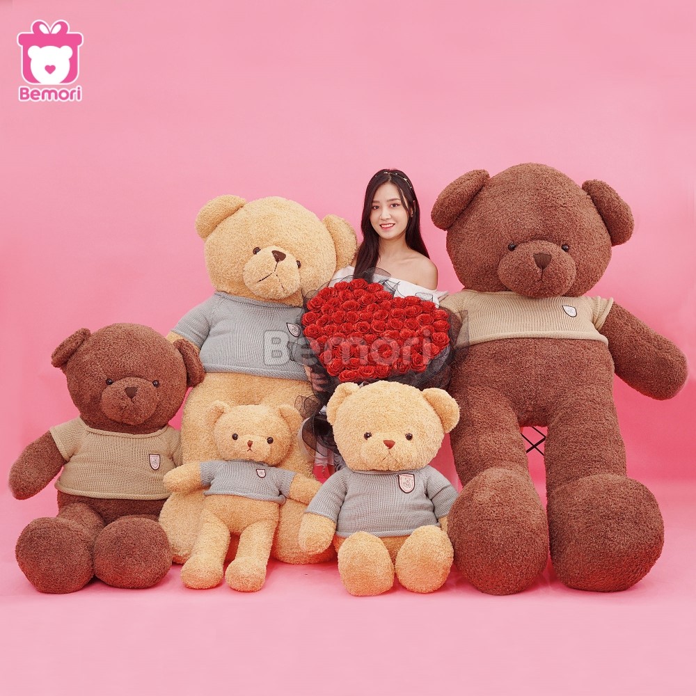 Teddy Bear - Món quà tặng ý nghĩa dịp đặc biệt