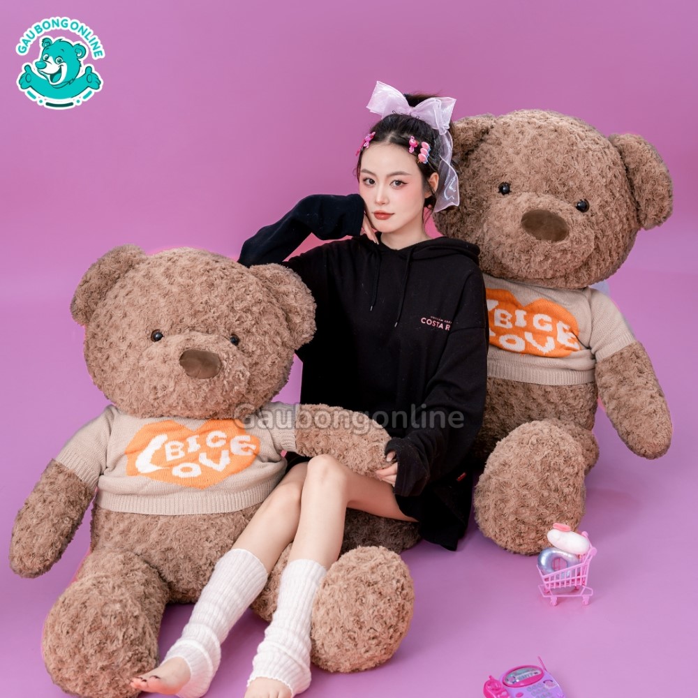 Mỗi chú gấu lại mang trong mình một ý nghĩa đặc biệt riêng