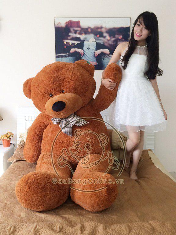 Mua Gấu Teddy giá rẻ ở Hà Nội