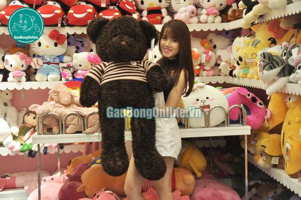 Gấu teddy 1m2 lông xù
