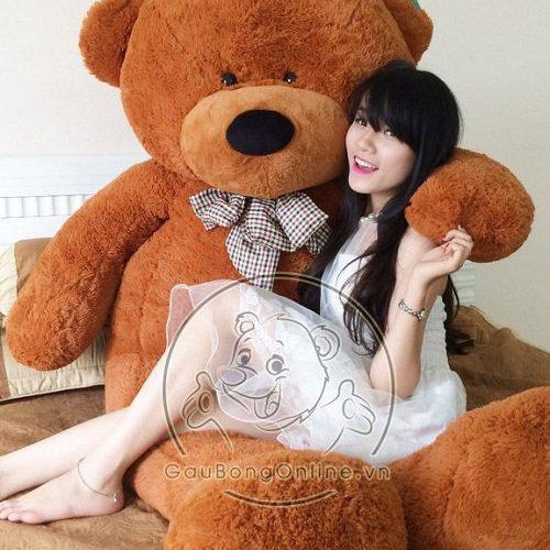 gấu bông teddy to