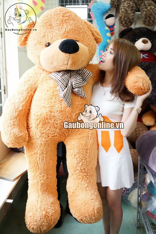 Gấu bông teddy to (1)