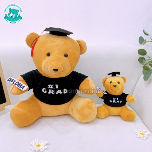 Gấu Bông Cử Nhân