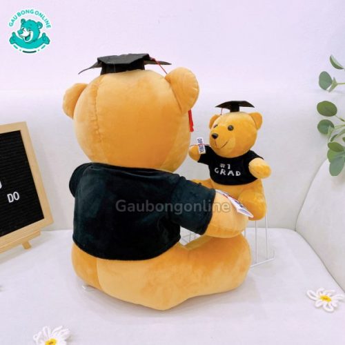 Gấu Bông Cử Nhân