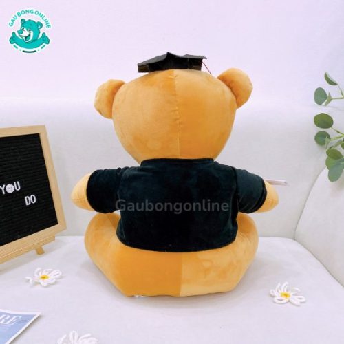 Gấu Bông Cử Nhân