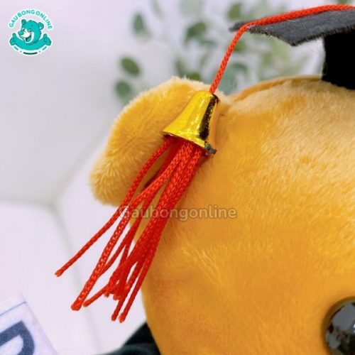 Gấu Bông Cử Nhân