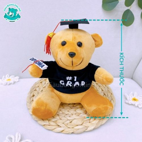 Gấu Bông Cử Nhân