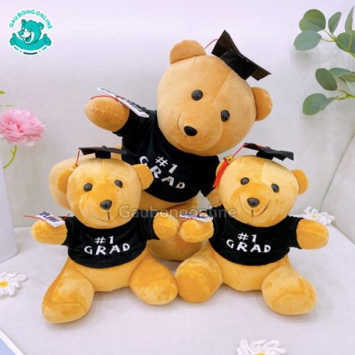Gấu Bông Cử Nhân