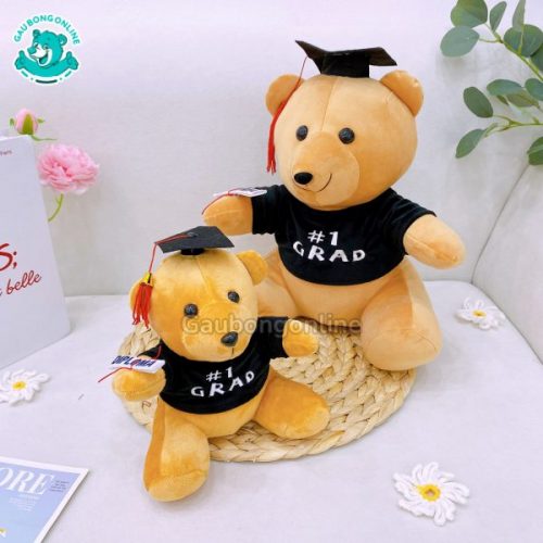 Gấu Bông Cử Nhân
