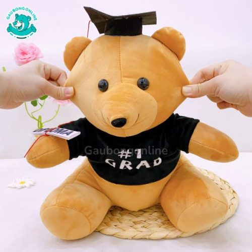 Gấu Bông Cử Nhân