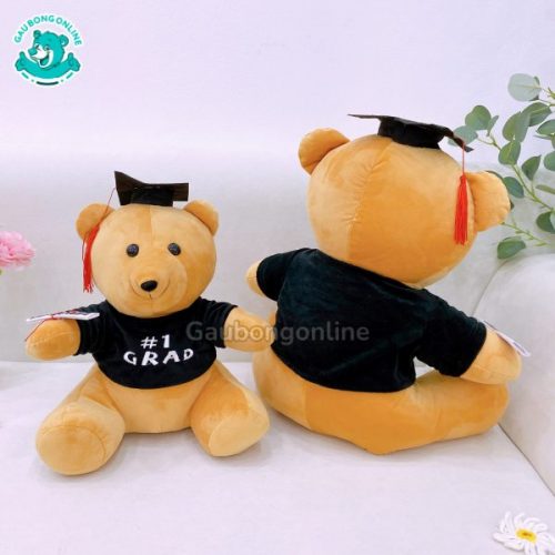 Gấu Bông Cử Nhân