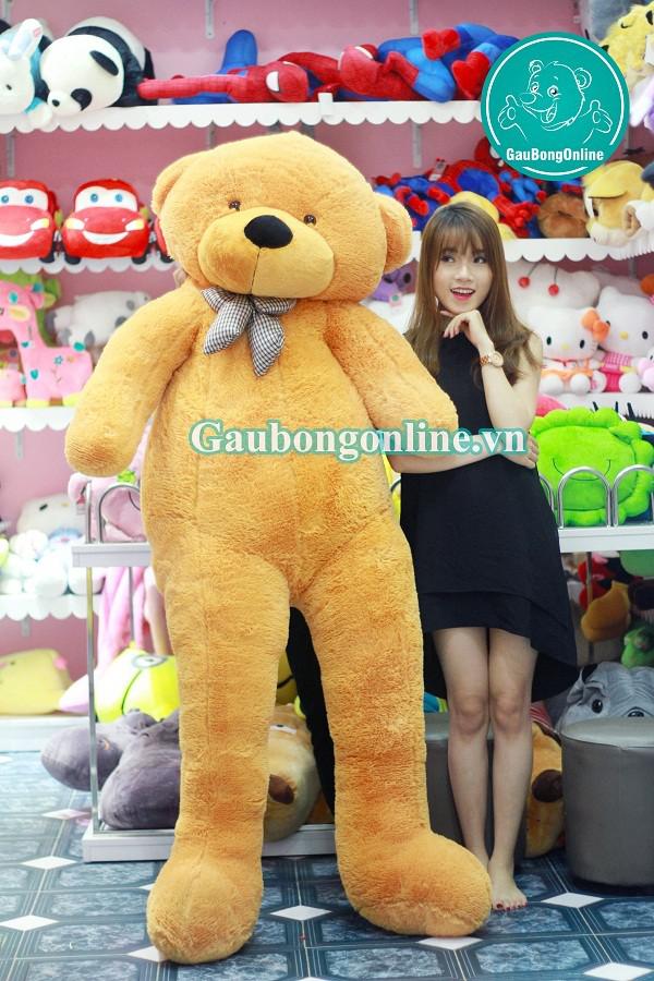 gấu teddy 1m6