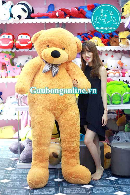 Teddy Nâu Nhập