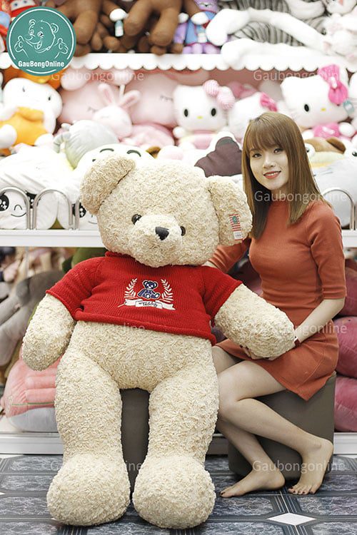 Gấu áo teddy