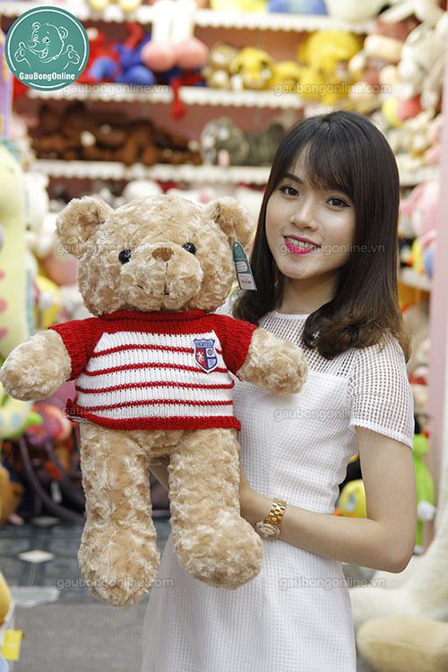 Teddy áo len gấu