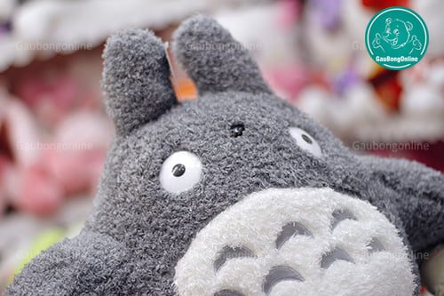 Totoro Xù