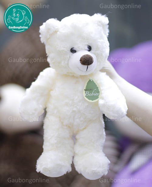 Teddy Natural Babies