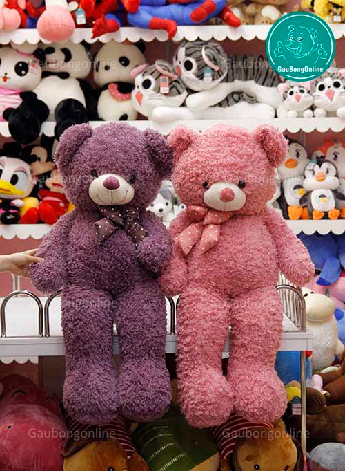 Teddy Xù