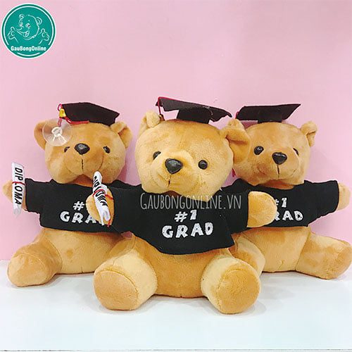 Gấu cử nhân nhỏ