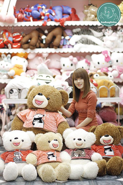 Gấu teddy áo nỉ thú