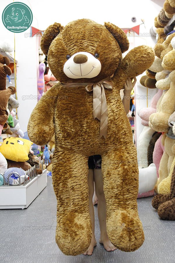 Gấu Bông Teddy Nâu