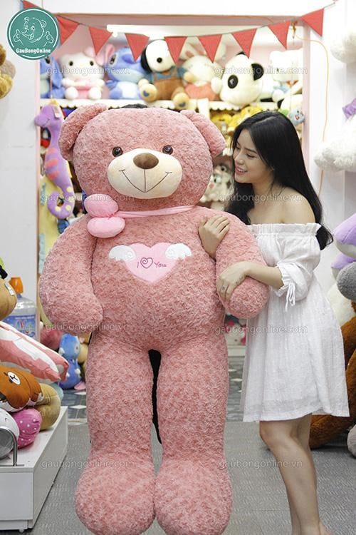 Gấu teddy angel hồng