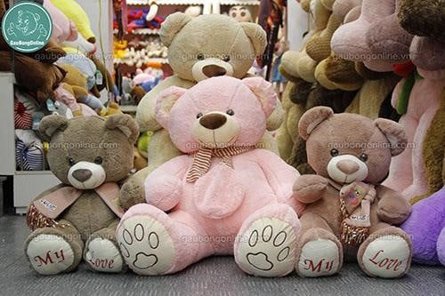 Gấu teddy nhỏ có nhiều hình dáng, kích thước khác nhau