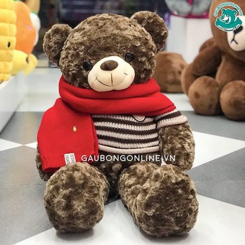 Gấu Teddy & Khăn Len HQ Đỏ