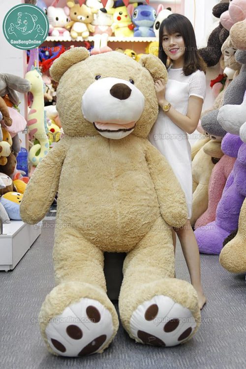 Gấu Bông Teddy - Ted Bự 2m