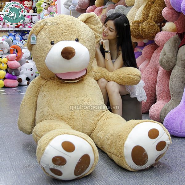 Gấu Bông Teddy - Ted Bự 2m