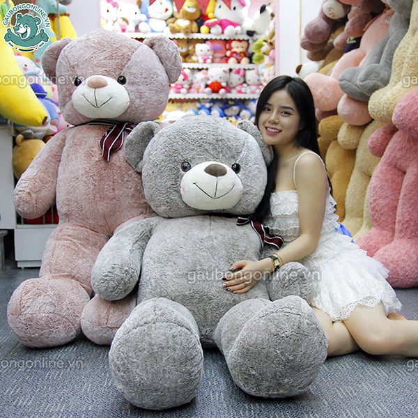 Gấu Bông Teddy Nhung 1m6