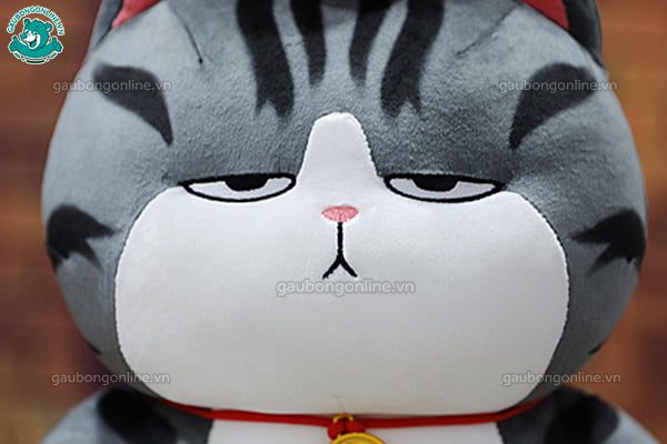 Mèo Hoàng Thượng Bông Béo