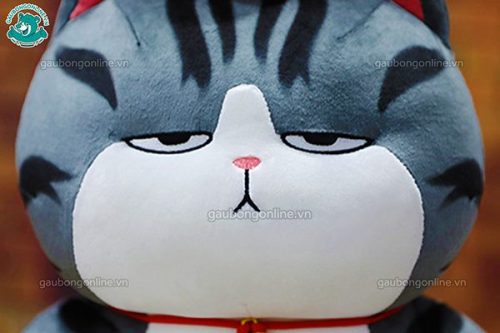Mèo Hoàng Thượng Bông Gầy