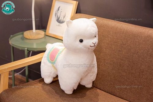 Cừu Alpaca Bông