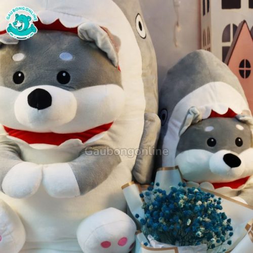 Chó Bông Shiba Cosplay Cá Mập