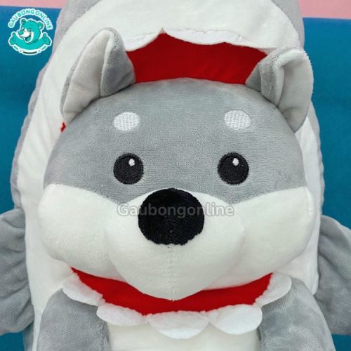 Chó Bông Shiba Cosplay Cá Mập
