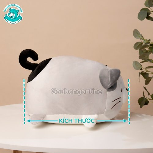 Mèo Bông Béo Nằm
