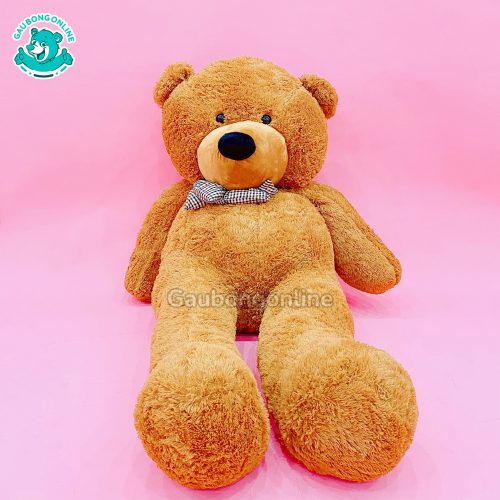 Gấu Bông Teddy Boy