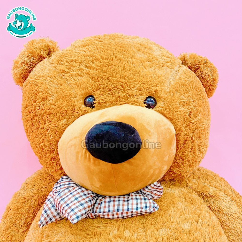 Gấu Bông Teddy Boy