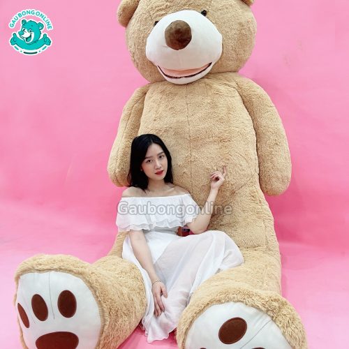 Gấu Bông Teddy Cosco