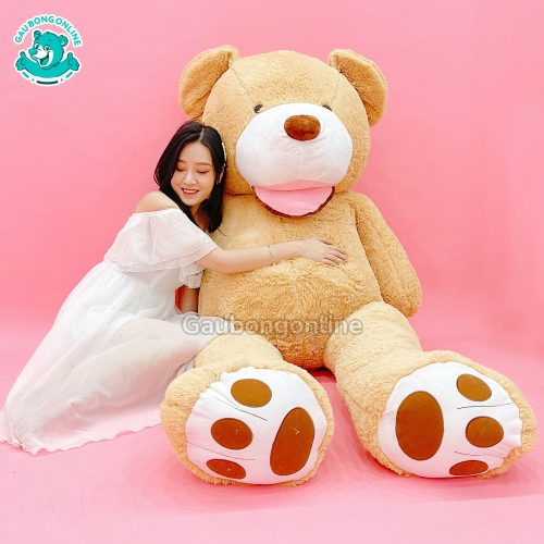 Gấu Bông Teddy Cosco
