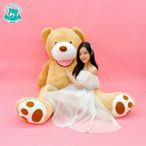 Gấu Bông Teddy Cosco