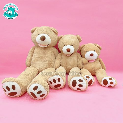 Gấu Bông Teddy Cosco